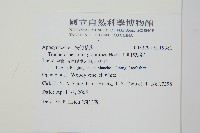 細梗絡石藏品圖，第2張