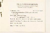 田代氏澤蘭藏品圖，第2張