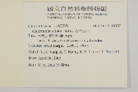 臺灣及己藏品圖，第2張