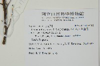 燈稱花、烏雞骨藏品圖，第2張