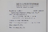 出雲山秋海棠藏品圖，第2張