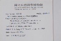 臺灣馬藍藏品圖，第2張