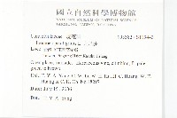 九爪藤藏品圖，第2張