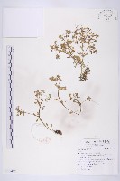 登錄號:S119457藏品圖，第1張