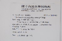 台灣鷗蔓藏品圖，第2張