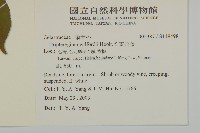 雷公藤藏品圖，第2張