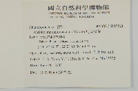 馬氏濱藜藏品圖，第2張