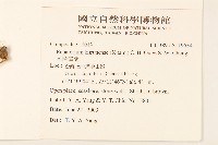 基隆澤蘭藏品圖，第2張
