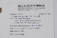 番杏藏品圖，第2張