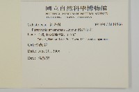 佩羅特木藏品圖，第2張