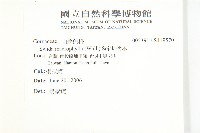 梜木藏品圖，第2張