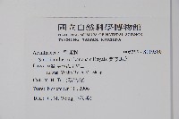 曲莖馬藍藏品圖，第2張