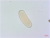 登錄號:S119582藏品圖，第3張