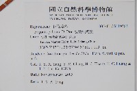 裂葉秋海棠藏品圖，第2張