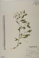 登錄號:S119588藏品圖，第1張