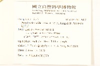 貓腥草藏品圖，第2張