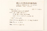 鼠麴舅藏品圖，第2張