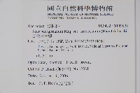 臺灣三角楓藏品圖，第2張