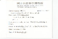 盒果藤藏品圖，第2張