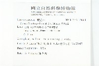 盒果藤藏品圖，第2張