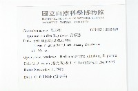 番仔藤藏品圖，第2張