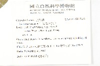 圓萼天茄兒藏品圖，第2張