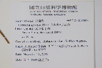 武靴藤藏品圖，第2張