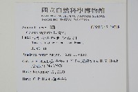 青葙藏品圖，第2張