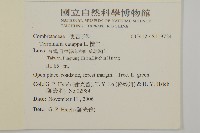 欖仁藏品圖，第2張