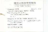 小燈籠草、大還魂藏品圖，第2張