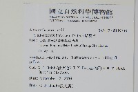 漿果莧藏品圖，第2張
