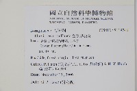 恆春厚殼樹藏品圖，第2張