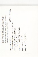 呂宋毛柿藏品圖，第2張