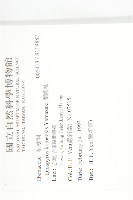 蘭嶼柿藏品圖，第2張