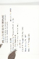 軟毛柿藏品圖，第2張