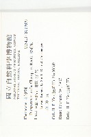 軟毛柿藏品圖，第2張