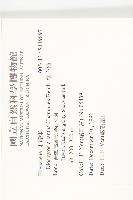 軟毛柿藏品圖，第2張