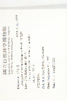 軟毛柿藏品圖，第2張