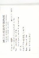 軟毛柿藏品圖，第2張