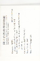 軟毛柿藏品圖，第2張