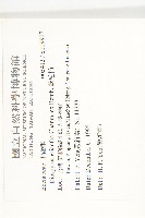 軟毛柿藏品圖，第2張