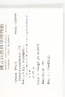 黑柿藏品圖，第2張