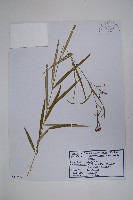 登錄號:S119992藏品圖，第1張