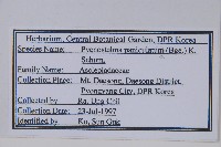 登錄號:S119992藏品圖，第2張