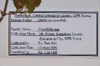 登錄號:S120025藏品圖，第2張