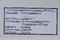 半邊蓮、鐮磨仔草藏品圖，第2張