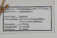 牛蒡藏品圖，第2張