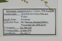 寬葉山蒿藏品圖，第2張