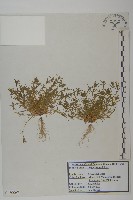 登錄號:S120067藏品圖，第1張