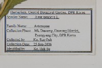 紫菀藏品圖，第2張